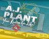 Aj Plant - Ottawa Real Estate Agent
