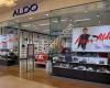 Aldo