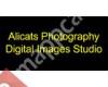 Alicats Photography Digital Images Studio