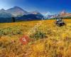 All Terrain Vegetation Services Inc