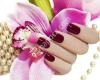 American Nails Spa Inc