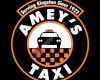 Amey's Greenwood Taxi Ltd