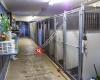 Anita's Puppy Palace Mobile Pet Grooming And Boarding Kennels