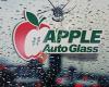 Apple Auto Glass