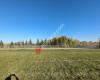 Athabasca Off Leash Dog Park