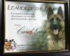 Bark Busters In Home Dog Training - Edmonton