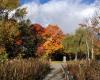 Bass Lake Provincial Park