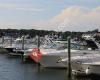 Bass River Marina