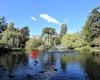 Beacon Hill Park