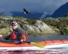 Black Bear Kayaking