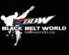 Black Belt World