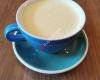 Black Duck Café