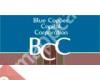 Blue Copper Capital