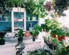 Blue Moon Mercantile & Florals