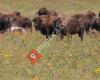 Blue Mounds State Park