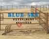 Blue Sky Veterinary Services