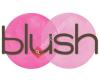 Blush Beauty Bar and Esthetics