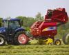 Bob Mark New Holland Sales Limited