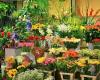 Capital City Florist