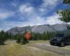 Bow Valley Campground
