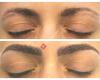 Brows by Tania