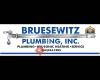 Bruesewitz Plumbing dba WaterWorks Plumbing Co