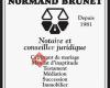 Brunet Normand