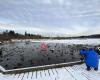 Burnaby Lake Regional Nature Park