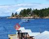 Campbell River Whale Watching and Adventure Tours