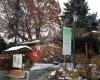 Casey D Sutherland | Dental Clinic + Garden Walk
