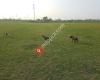 Cathy Lauritsen Memorial Off-Leash Dog Park