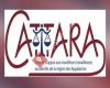 Cattara Comité d'appui aux travailleurs et travailleuses accidentés de la région des Appalaches