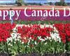 Chilliwack Tulip Festival by Tulips of the Valley
