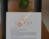 Citrus Salon