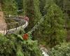 Cliffwalk