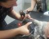 Clinique Veterinaire St-Arsene