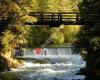 Coho Loop