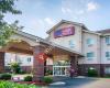 Comfort Suites Linn County Fairground And Expo