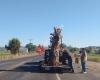 Crook County Weed Control