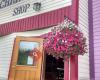 Dawson City General Store