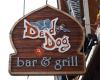 De'd Dog Bar & Grill