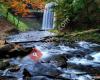 Decew Falls and Morning Star Mills