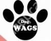 Dog Wags