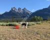 Elk Run Dog Park