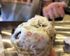 Eric's Ice Cream Factory