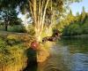 Fish Hatchery County Park