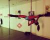 Fitness Evolution Pole and Aerial Silks Studio