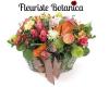 Fleuriste Botanica