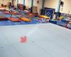 Flicka Gymnastics Club