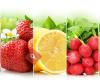 Fruits et Légumes 3 Saisons